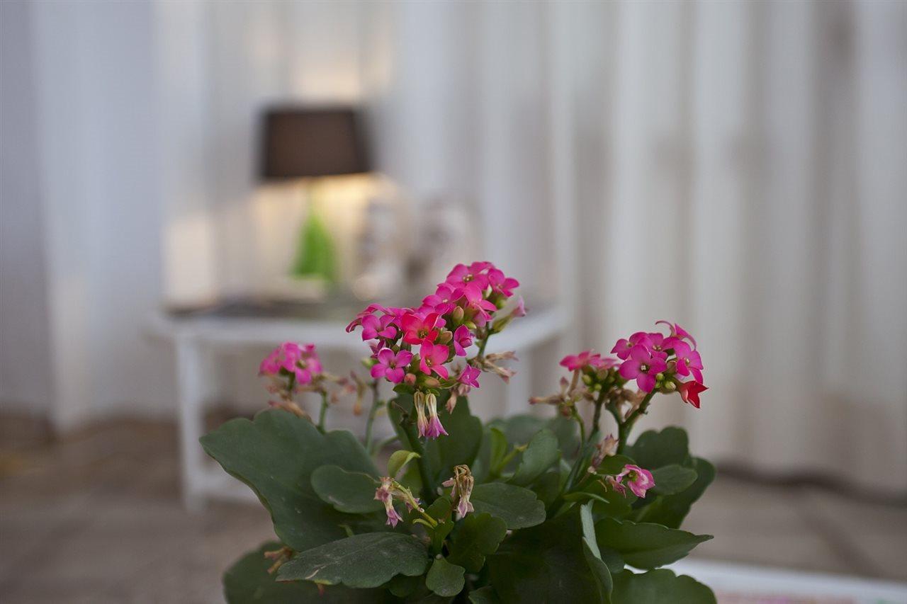 Galaxia Boutique Hotel *